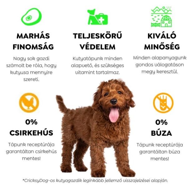 Ely Hipoallergén marhás nedves kutyaeledel (búza-glutén és csirkehús mentes recept) – 410 g - Kép 6