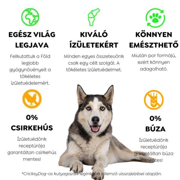 Twinky ízületvédő por zöldkagyló kivonattal (adagolókanállal) – 150 g - Kép 5