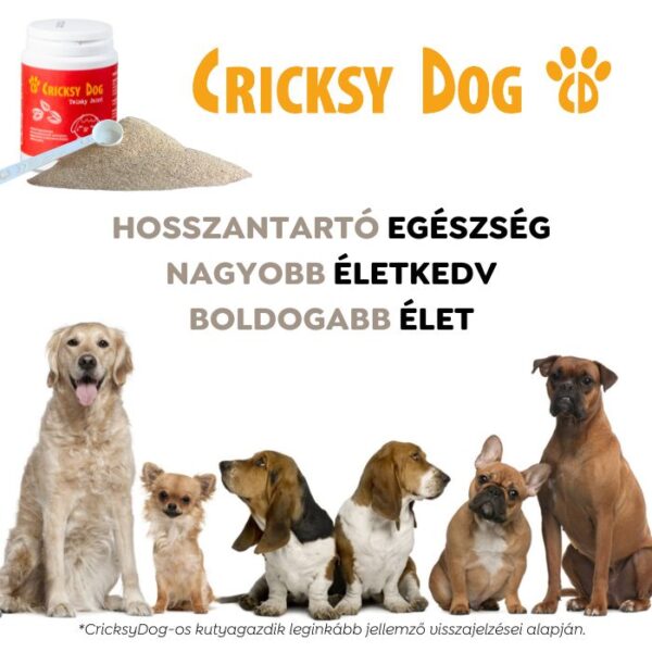 Twinky ízületvédő por zöldkagyló kivonattal (adagolókanállal) – 150 g - Kép 7