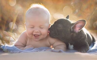 5 tipp, amivel felkészítheted kutyusod egy gyerkőc érkezésére (fontos erről beszélni)