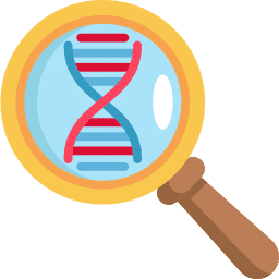 dna pipa