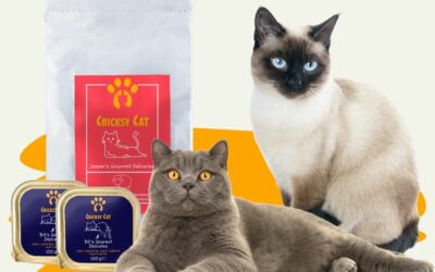 CricksyCat macskatáp adagolási és átszoktatási útmutató