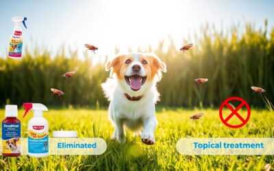 Kutya bolha elleni védekezés – Minden, amit tudnod kell róla!