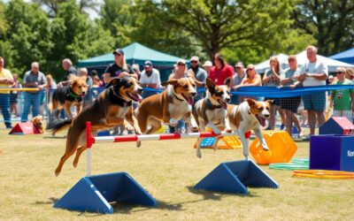 Kutya flyball – Minden, amit tudnod kell róla!