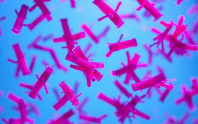 Kutya bartonella fertőzés – Minden, amit tudnod kell róla!