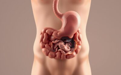 Kutya gyomorhurut krónikus – Minden, amit tudnod kell róla!