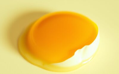 Macskás blog 19 Ehet a macskám tojássárgáját? – Minden, amit tudnod kell róla!