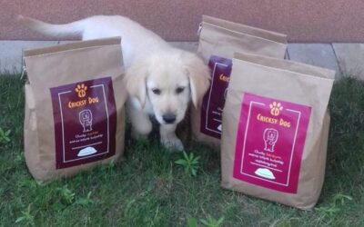 Kutyás blog 21 Chucky kutyatáp vélemény kölyökkutyás gazdiktól