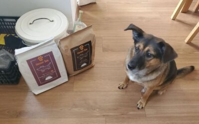 Kutyás blog 16 Juliet hipoallergén kutyatáp hatása szőrhullásra