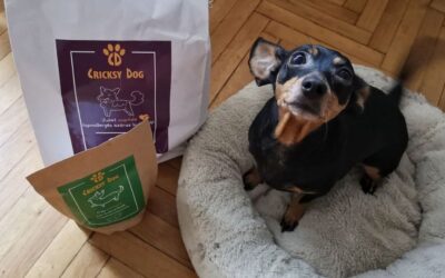 Kutyás blog 24 Juliet kutyatáp vélemények kutyás fórumokról