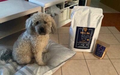 Kutyás blog 22 Juliet kutyatáp megszüntette a hasfájást – egy kutya története