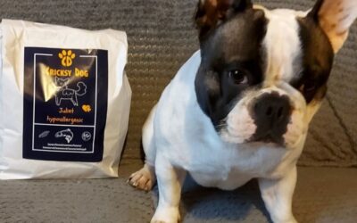 Kutyás blog 17 Juliet kutyatáp segített a fülgyulladáson – vásárlói vélemény