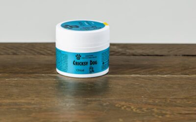 Chloé kutyasampon és mancsápoló együtt – tudatos kutyagazdik visszajelzései alapján