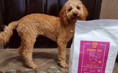 Kutyás blog 18 Juliet hipoallergén kutyatáp: gyors kiszállítás, valós értékelések