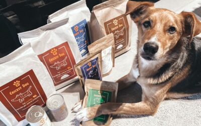 Kutyás blog 20 Vásárlói tapasztalat: kutyám nem vakarózik többé – köszönöm CricksyDog