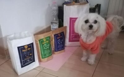 Kutyás blog 19 Juliet hipoallergén bárányos kutyatáp vásárlása – minden, amit tudnod kell