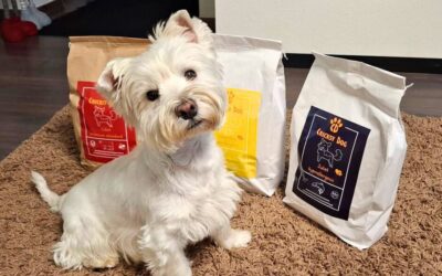 Kutyás blog 19 Kutyusok, akik 2+ éve CricksyDogot esznek – gazdik beszámolói