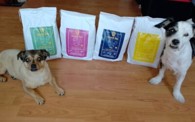 Bárányhúsos tápok tesztje – 3 népszerű márka összehasonlítása