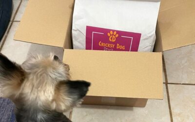 Mit tapasztaltak a kutyások a Twinky samponnal?