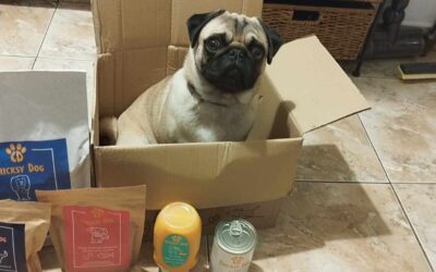 Vásárlói értékelések CricksyDog kutyás termékcsaládokról