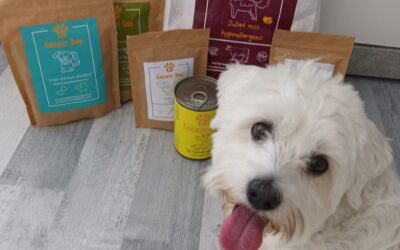 Kutyás blog 18 Twinky vitamin hatása a kutya vitalitására – tapasztalatok