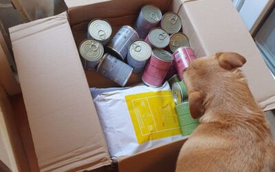 Kutyás blog 24 Vásárlói tapasztalatok CricksyDog kutyatáp termékmintákról