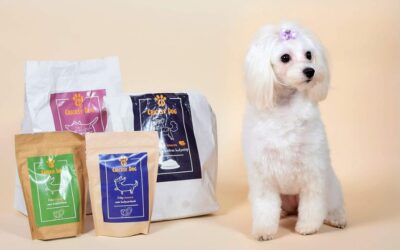 Kutyás blog 23 Mit mondanak a kistestű kutyás vásárlók a Denty Mini fogtisztítóról?