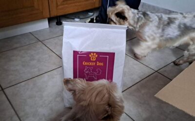 Kutyás blog 17 CricksyDog vs Fressnapf saját márkák – minőség és ár alapján
