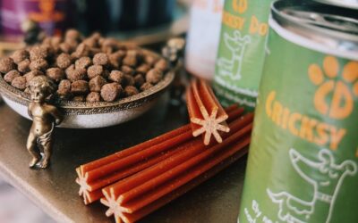 Kutyás blog 17 Denty Mini kutya fogtisztító rendszeres használata után – valós visszajelzések