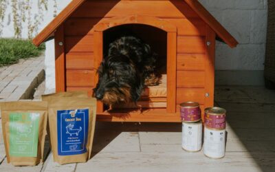 CricksyDog vélemények gyomorérzékeny kutyáknál