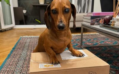 Twinky ízületvédő vagy porcvédő? Mit mondanak a vásárlók?