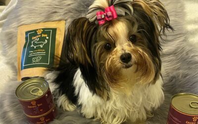 Kutyás blog 16 Twinky lazacolaj vásárlói tapasztalatok