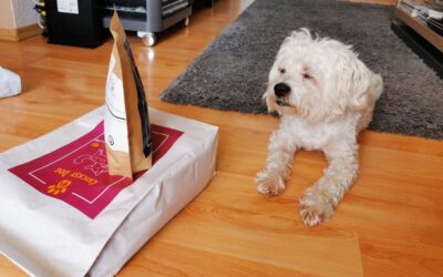 Kutyás blog 21 Honnan tudod, hogy a választott kutyatáp még mindig megfelelő a kutyádnak?