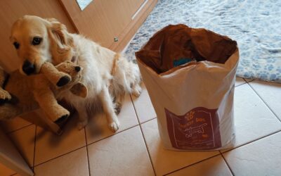 Kutyás blog 22 Mikor érdemes újra megrendelni a CricksyDog kutyatápot?