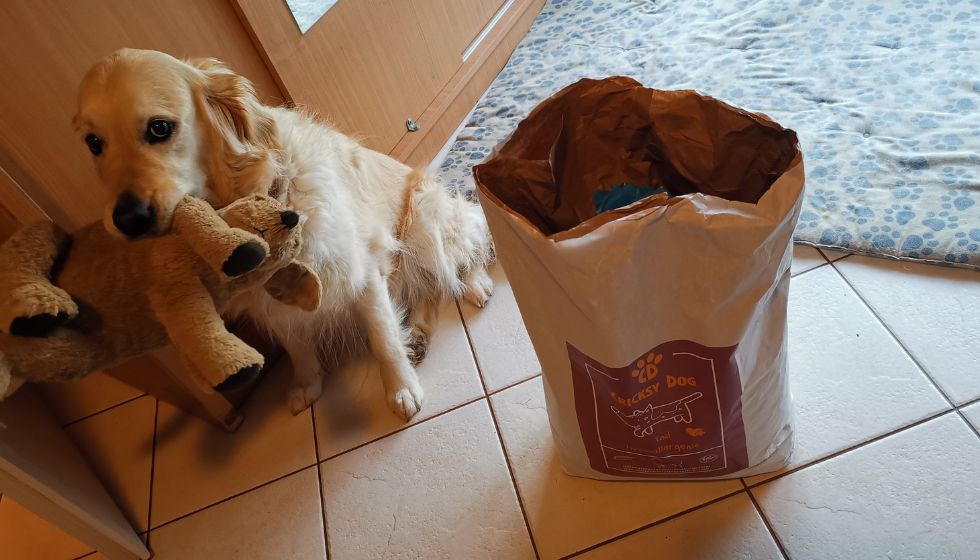 Mikor érdemes újra megrendelni a CricksyDog kutyatápot?