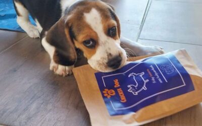 Kutyás blog 19 CricksyDog kutyatáp házhozszállítással – így működik