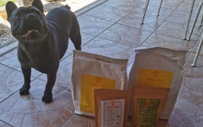 Kutyás blog 18 Hogyan történik a fizetés a CricksyDog kutyás webshopban (utánvét és biztonságos online bankkártyás fizetés)?