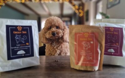 Kutyás blog 24 CricksyDog rendelés kuponkóddal – hogyan használd fel kuponod a kosár oldalon?