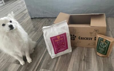 Kutyás blog 17 Juliet hipoallergén kutyatáp + Twinky lazacolaj: szuperpárosítás