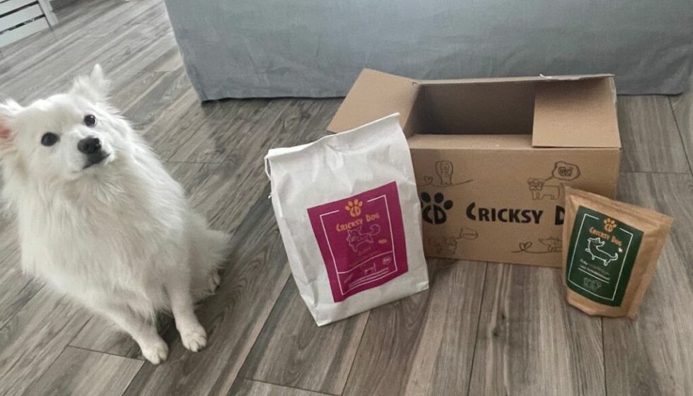 Juliet hipoallergén kutyatáp + Twinky lazacolaj: szuperpárosítás