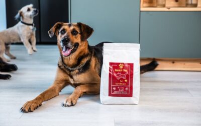 Kutyás blog 24 CricksyDog érzékeny tápok összehasonlítása – Juliet, Ted, Max