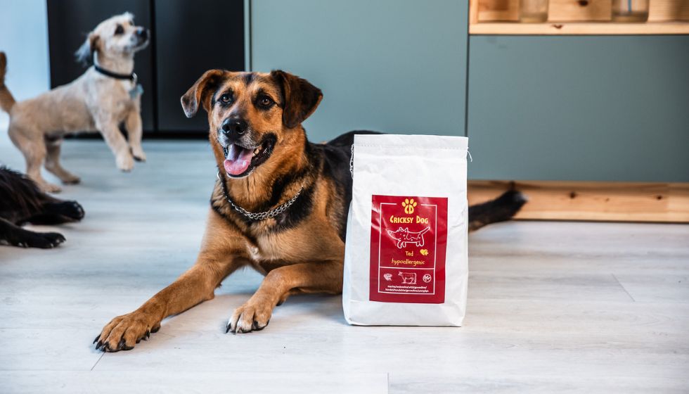 CricksyDog érzékeny tápok összehasonlítása – Juliet, Ted, Max