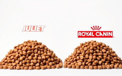Juliet vs Royal Canin vélemények