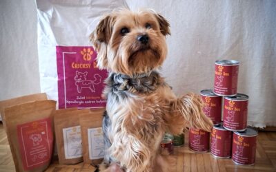 Kutyás blog 21 Vásárlóink kedvenc kombinációi – ezeket próbálták ki sikerrel a kutyáiknak