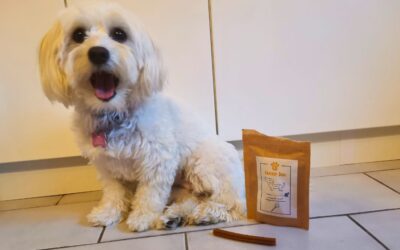 Kutyás blog 16 Denty Mini fogtisztító rendelése kis testű kutyáknak