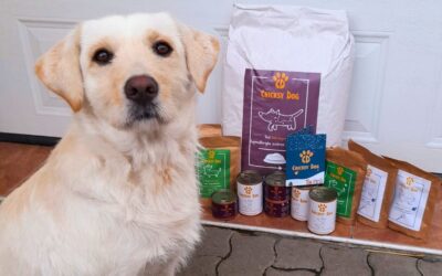 Kutyás blog 18 Twinky és Chloé termékek a nyaralás alatt – mire figyelj?