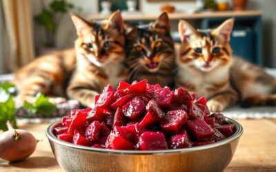 Macskás blog 24 Miért jó a céklás táp a cicák emésztésére?