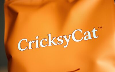 CricksyCat macskatápok vs szupermarketes macskatápok – mit kapsz valójában?