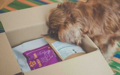 Juliet bárányos táp hosszú távú hatásai