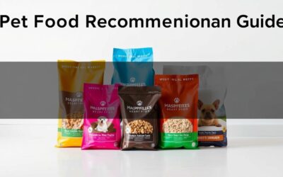 Milyen tápokat ajánlanak a szakértők nyári hónapokra?